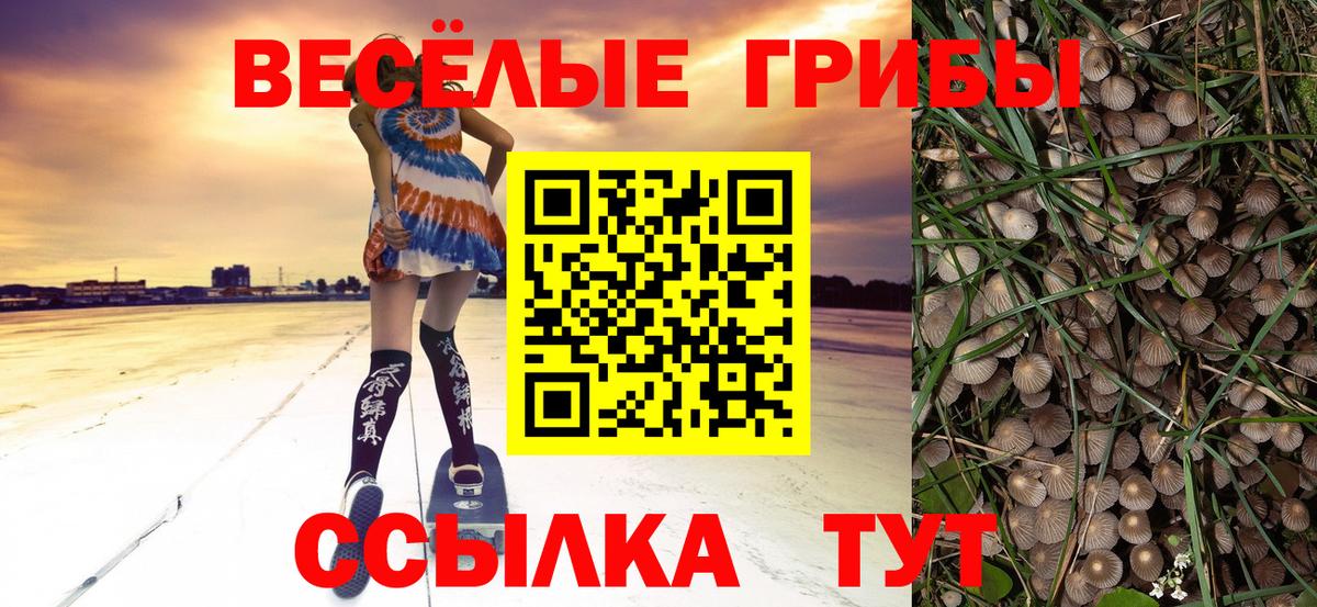 Галлюциногенные грибы MAGIC MUSHROOMS  Вход с VPN  Канаш 