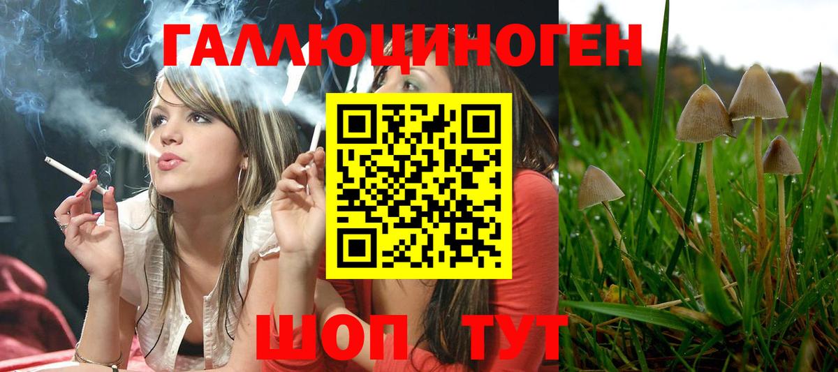 Галлюциногенные грибы ЛСД Канаш